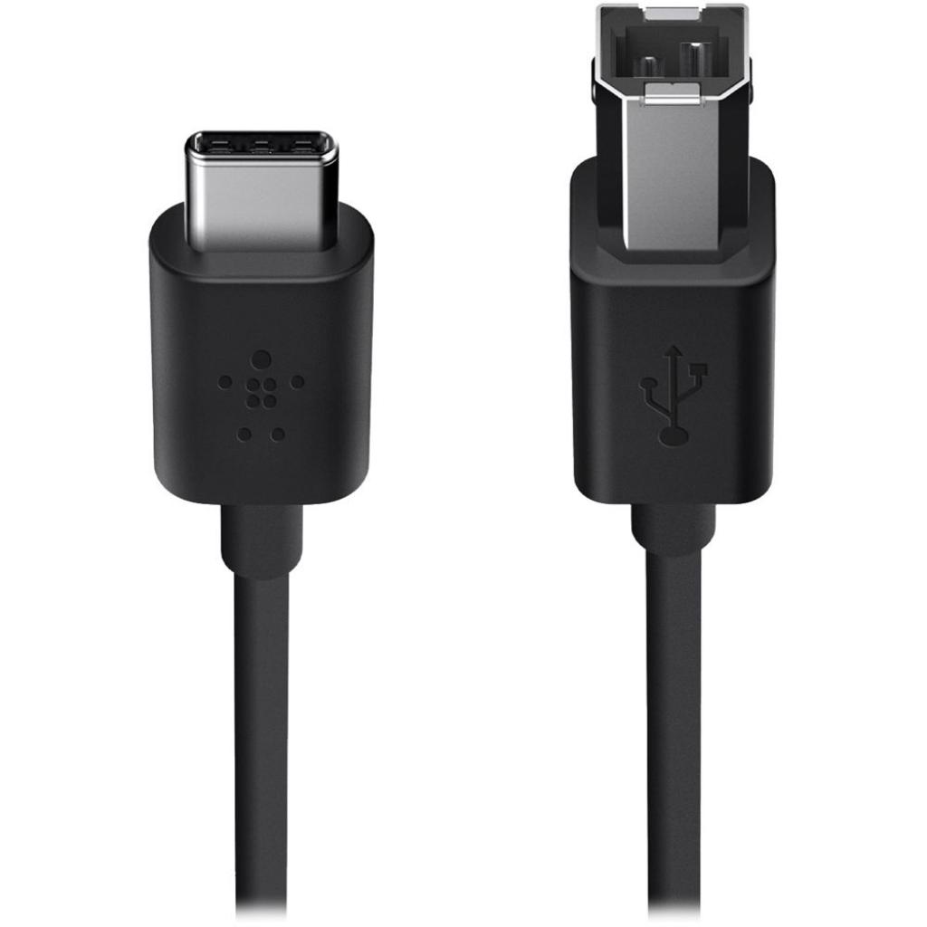 Дата кабель USB 2.0 Type-C to BM 1.8m Belkin (F2CU035bt06-BLK)