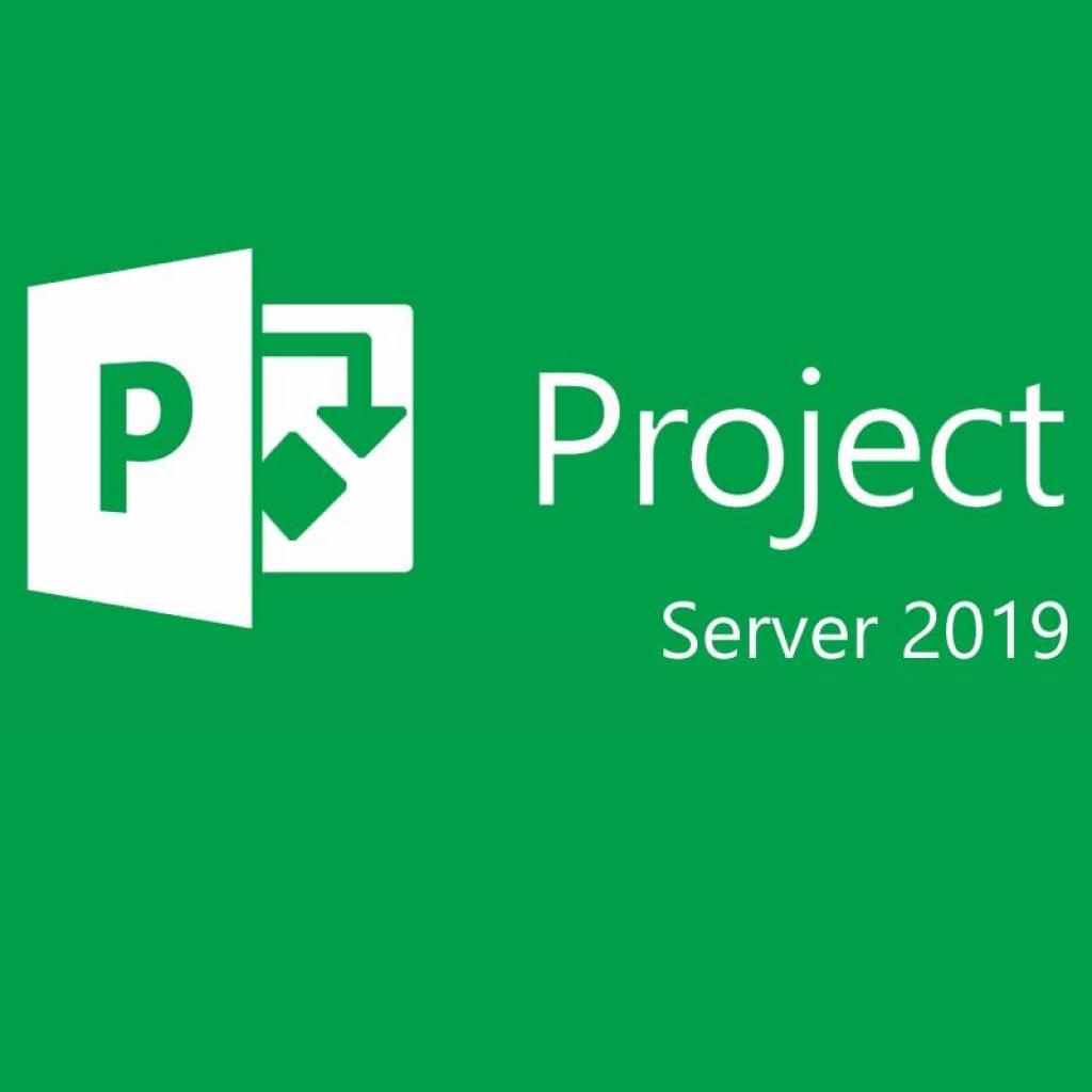 ПЗ для сервера Microsoft PrjctSvr 2019 SNGL OLP NL (H22-02788)