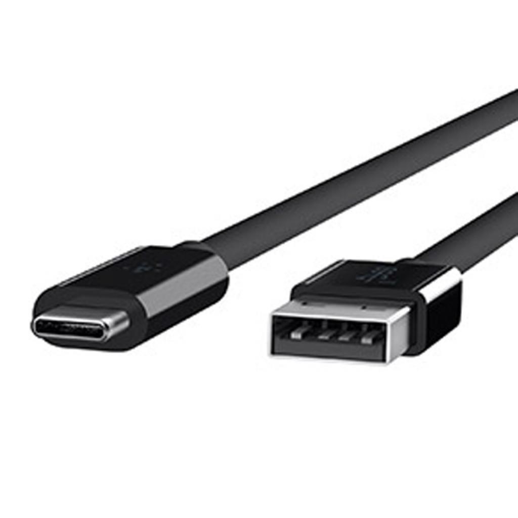 Дата кабель USB 3.1 Type-C to AM 1.0m Belkin (F2CU029bt1M-BLK)