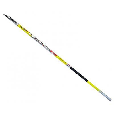 Вудилище Fishing ROI Fiesta Telepole 5.00м до 25гр (225-13-500)